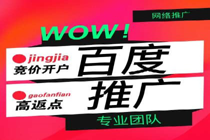 搜索开户返点揭秘：成功案例分享